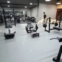 Banc d'hyperextension commercial, chaise romaine de musculation pour le dos, les fessiers et les ischio-jambiers
