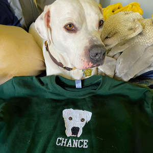 Felpa personalizzata amante del cavallo con nome ricamato e distintivo 3D tessuto tessuto invernale autunno stagione anteriore Logo Est anno - Product Image 3