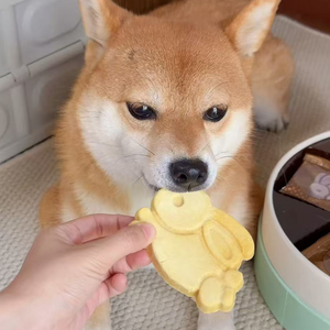 Biscuits pour chiens de marque privée aliments pour animaux de compagnie formation de chien collation croustillante saveur de poulet délicieux biscuits pour chiens aliments pour animaux de compagnie - Product Image 3