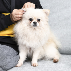 Lingettes pour les yeux des animaux, nettoyant pour les taches de larmes des chats, lingettes jetables pour le nettoyage des oreilles des chiens, pour les soins des animaux - Product Image 2