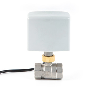 Vanne à boisseau électrique Converse DN20 PN25 filetée en acier inoxydable 304 AC220V pour le contrôle de l'eau, de l'air et de l'huile - Product Image 1