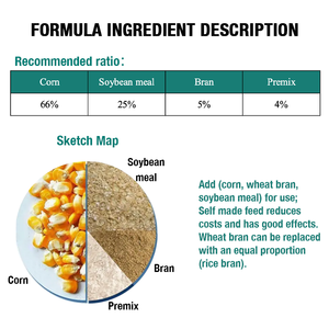Suplemento Alimenticio Personalizado para Cerdos, Promotor del Crecimiento, Premezcla para Cerdos, Aditivos para Alimentos para Animales, Aumento Rápido de Peso - Product Image 5