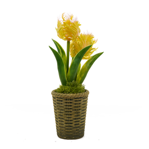 All'ingrosso fiore artificiale succulento giallo fiore realistico per interni decorativi per esterni Mini Bonsai in vaso - Product Image 1