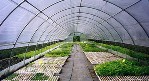 Fabricants de serres tunnel, fournisseurs de serres automatisées, kits de serres clés en main de Chine - Product Image 5