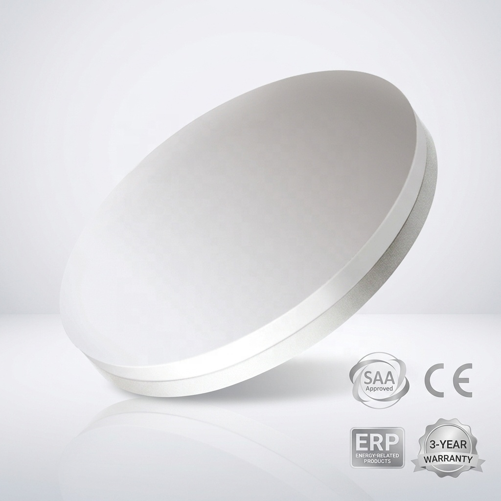 SAA CE Round Shape LED Ceiling Lamp for Home Living Room 230V Acrylic Indoor Shape Light 15W 18W 24W 4100K for Hotels