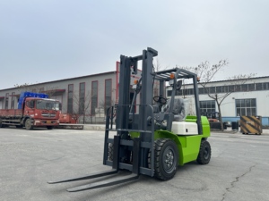 Populaire 1 1.5 2 2.5 3 tonnes chariot élévateur électrique CE MSDS hauteur de levage 3m-8m garantie à vie diesel chariot élévateur télescopique prix - Product Image 6