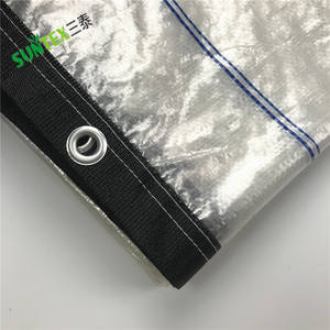 <span class=keywords><strong>Película</strong></span> tejida transparente de 2m x 12m, cubierta de lluvia para huerto de cerezos con unión reforzada, cubierta de cerezo, lona tejida de PE transparente - Product Image 4