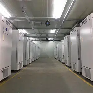 BIOBASE Réfrigérateur 2 ~ 8C Réfrigérateur 368L réfrigérateur vertical réfrigérateurs à congélateur supérieur pour laboratoire