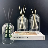 Diffuseur à roseaux en verre, flacon d'huile d'aromathérapie, plusieurs capacités, style luxe léger pour la décoration et l'ambiance de la maison