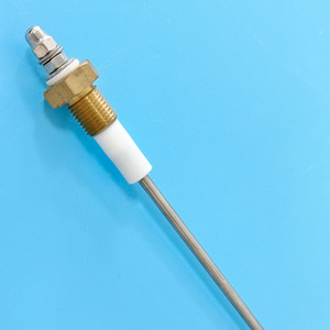 1/2 personalizzato 1/4 sonda di livello dell'acqua caldaie indicatore sonda <span class=keywords><strong>elettrodo</strong></span> sensore - Product Image 4
