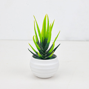 Mini Plante Succulente Artificielle <span class=keywords><strong>Aloe</strong></span> <span class=keywords><strong>Vera</strong></span> 7cm, Style Nordique Simple et Créatif, Origine Chine, pour Maison et <span class=keywords><strong>Bureau</strong></span> - Product Image 2