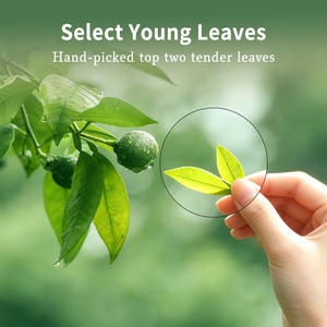 100% alami & murni dari daun jambu kristal longgar daun teh Herbal tas minuman <span class=keywords><strong>Diabetes</strong></span> darah keseimbangan teh - Product Image 3