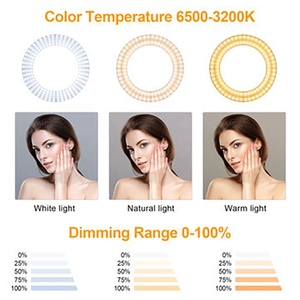LED Selfie Ring Light for Makeup & Live Streaming Portable 10-Inch Dimmable 5V 13W with Phone Holder - Product Image 6