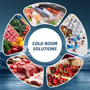 Cella Frigorifera Mobile CE Mini, Attrezzatura di Refrigerazione Portatile Monoblocco per Carne Bovina Omasum, Disponibile in Magazzino - Product Image 3