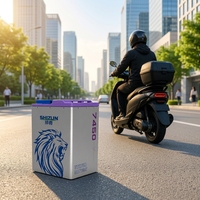 74V 50Ah LiFePO4 Lithium Battery Pack for Electric Motorcycle 72V Lithium Battery 3000 Cycles IP67 Waterproof Factory Price