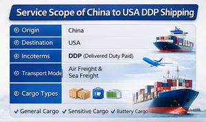 शेनजेन गुंगझोउ लॉजिस्टिक्स dp तेजी से समुद्र के लिए अमेरिकी कैनाडा मेक्सिको ऑस्ट्रलिया फारवर्डर dp शिपिंग एजेंट - Product Image 4
