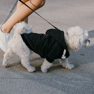 Custom Outfits Katoen Hond Hoodie Huisdier Kleding Kleding Truien Comfort Mode Rits Met Zakken Groothandel 2021 - Product Image 6