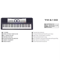 Beginner's Electronic Piano Organ with 61 Standard Keys Black and White 24 Keyboard Instrument Made of Durable Plastic