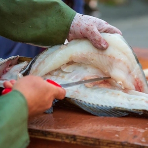 Frozen Whole Antarctic Cod Fish High <b>Protein</b> Seafood Wild Caught from Antarctic Ocean for Export and Wholesale Supply - Product Image 5