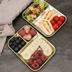 Vajilla Rectangular Clásica Personalizada de Acero Inoxidable, Plato <span class=keywords><strong>para</strong></span> Ensalada, Apto <span class=keywords><strong>para</strong></span> Lavavajillas y Microondas, <span class=keywords><strong>para</strong></span> Uso Doméstico y <span class=keywords><strong>en</strong></span> <span class=keywords><strong>Restaurantes</strong></span> - Product Image 1