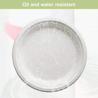 Ensemble d'assiettes en papier biodégradables et compostables de luxe, écologiques, jetables, pour le petit-déjeuner, taille personnalisée, pour le camping
