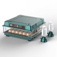 Incubateur à œufs automatique de petite taille entièrement automatique, capacité de 64 œufs, avec un taux d'éclosion élevé pour les poulets