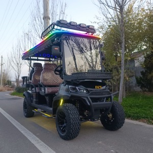 Chất lượng cao sang trọng điện Golf giỏ hàng năng lượng mới xe với Dot & EEC giấy chứng nhận sản xuất chất lượng cao điện Câu lạc bộ xe - Product Image 2