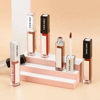 Nouvel Arrivage Maquillage Rouge à Lèvres Liquide Mat Végan Marque Privée Gloss à Lèvres Lumineux LED avec Miroir Fournisseur de Gloss à Lèvres