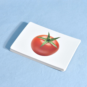 Set <span class=keywords><strong>di</strong></span> Carte Educative per Bambini OEM con Stampa CMYK/Pantone, Gioco <span class=keywords><strong>di</strong></span> Carte Flash Bifacciali con Illustrazioni Realistiche <span class=keywords><strong>di</strong></span> Animali - Product Image 3