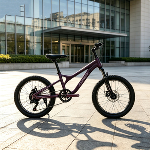 Vélo de montagne pour enfants 20*22*24 pouces avec freins à disque, vélo pour garçons, pour le cyclisme en plein air, en lac et en montagne - Product Image 5