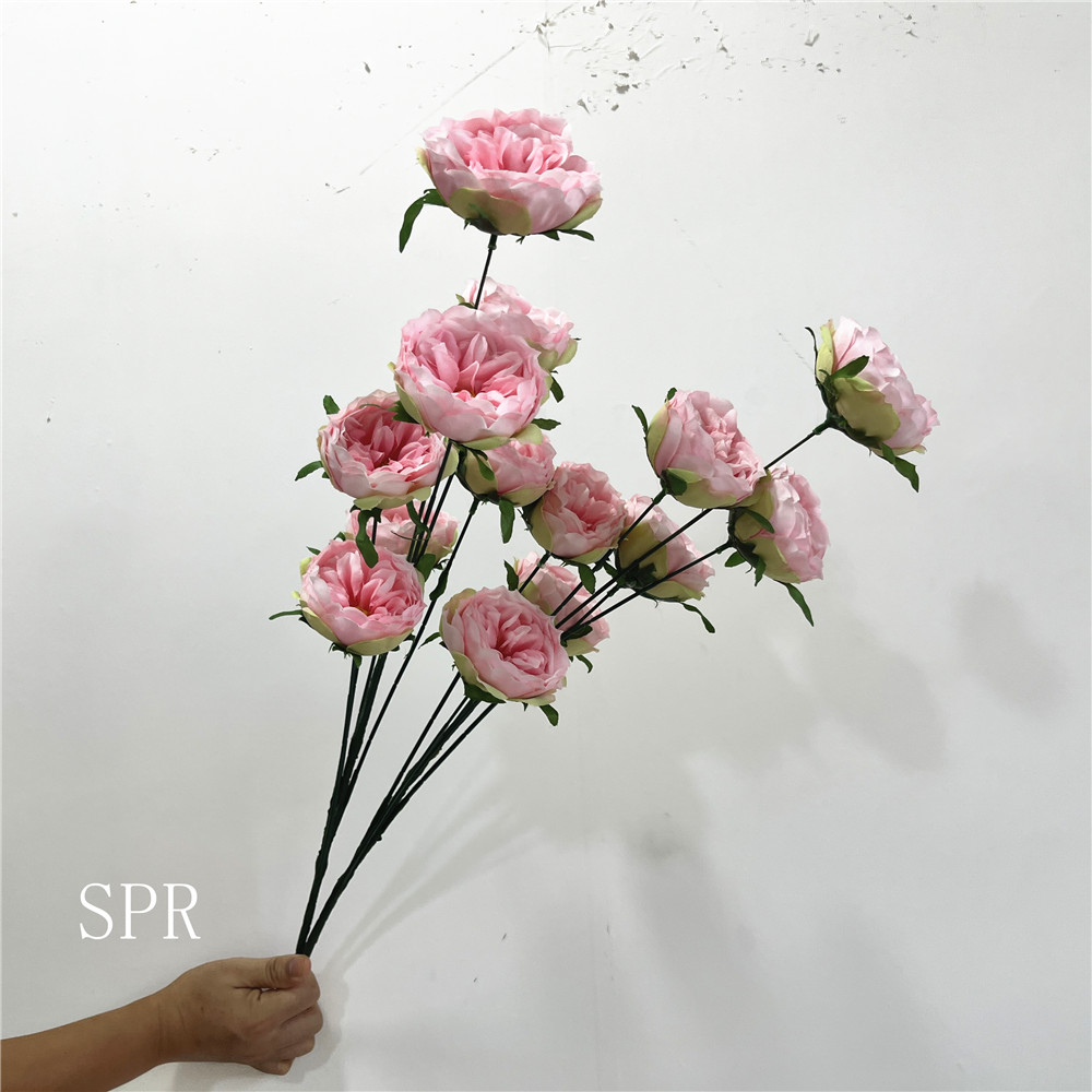 SPR-AF23823-23