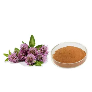 Factory supply Red Clover Extract 8% isoflavones