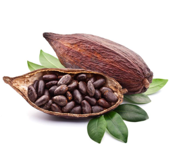 Manufacturer Cocoa Seed Powder Extract, Theobromine 10%20% (HPLC), Polyphenols cocoa extract