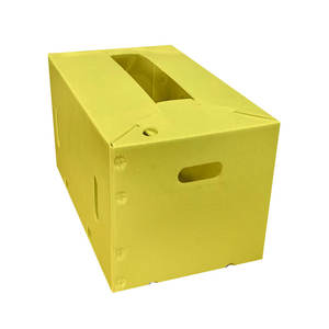 Contenedor de Plástico PP para Transporte de Frutas, Impermeable, Hueco, Plegable, Apilable, para Almacenamiento de Verduras - Product Image 6