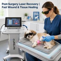 Système de thérapie laser à diode haute puissance de classe IV, appareil de physiothérapie pour cliniques vétérinaires équines, fermes équine, distributeurs