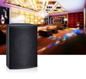 Loa âm thanh chuyên nghiệp 10 inch dành cho sân khấu, hội nghị, câu lạc bộ - Đa chức năng, dùng cho kinh doanh & giải trí - Product Image 4