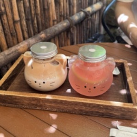 Bouteille d'eau en plastique PET de qualité alimentaire de 500 ml en forme de chat, avec bouchon à vis en aluminium, pour l'emballage de jus, de lait et de thé