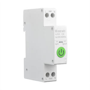 SW-ACW Tuya WiFi Smart Circuit Breaker <b>Switch</b> 63A 1P+N MCB <b>Timer</b> Power Energy kWh Voltage Current Meter Smart Home Device - Product Image 5