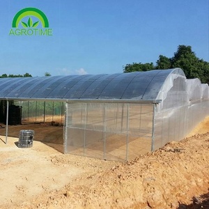 Serra Multi-span su larga scala adatta per le imprese <span class=keywords><strong>agricole</strong></span> - Product Image 4