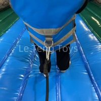 Jeu gonflable commercial Hippo Chow Down en PVC avec certification CE, imperméable pour les événements