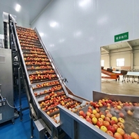 Turnkey volautomatische appelsap productielijn met CIP-reiniging en UHT-sterilisatie