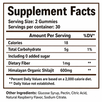 Gummies de pectine de Shilajit de l'Himalaya OEM Ruijin 600mg pour adultes, soutien immunitaire, saveur framboise