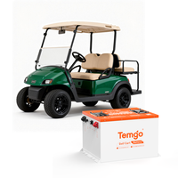 Baterai Golf Cart TEMGO Metal Case 48V 100Ah LiFePO4 dengan BMS Pintar 300A, Charger LCD Bluetooth untuk Dealer dan Distributor