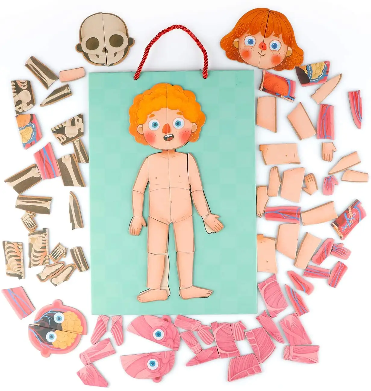 Perfektes Geschenk für Kinder Lernen Sie Körperteile Organe Muskeln und Knochen 76-teiliges magnetisches Lernspiel zeug Holz puzzle für den menschlichen Körper