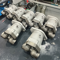 Moteur à piston axial hydraulique Haozheng 74318DEM à haute efficacité pour les systèmes hydrauliques agricoles/industriels