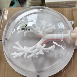 Modelo de bronquio rígido, modelo de entrenamiento médico, modelo de entrenamiento para broncoscopia - Product Image 5