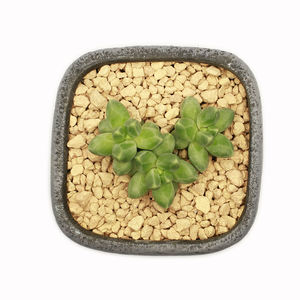 Granules <span class=keywords><strong>de</strong></span> diatomite <span class=keywords><strong>de</strong></span> qualité horticole <span class=keywords><strong>terre</strong></span> d'infusoire à haute porosité pour le dépôt <span class=keywords><strong>de</strong></span> minéraux non métalliques <span class=keywords><strong>de</strong></span> plantes <span class=keywords><strong>de</strong></span> rempotage <span class=keywords><strong>de</strong></span> <span class=keywords><strong>jardin</strong></span> - Product Image 3