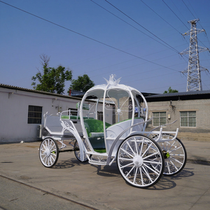 Chariot de Cendrillon électrique de haute qualité avec structure en acier et couleur personnalisable pour transport spécial de mariage - Product Image 1