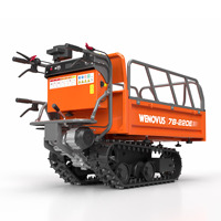 Wenovus WN7B-220E Pengangkut Pertanian Kebun dan Kebun Buah Elektrik 2-Kecepatan Rendah Kebisingan dan Ringkas