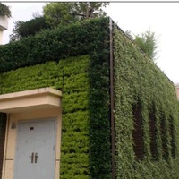 Panneaux muraux carrés modernes en plastique PP 3D décoratifs, auto-arrosants, écologiques, durables, pour jardin vertical, jardinière murale verte